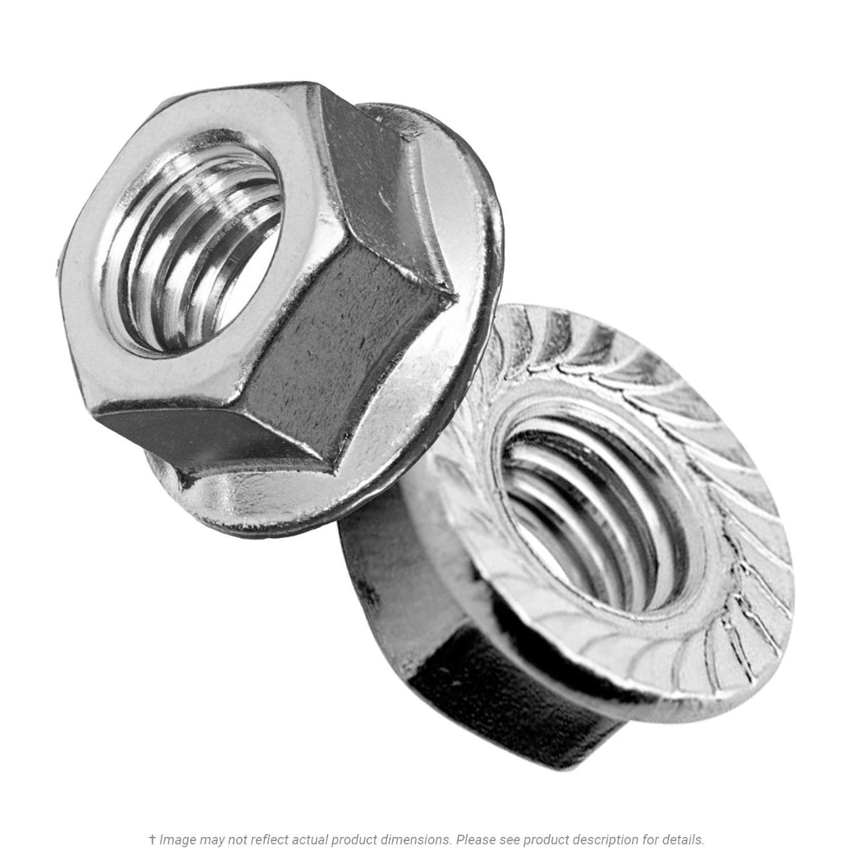 KL Jack & Co., 1/4" - 20 Stainless Steel Whiz Flange Nut 18-8