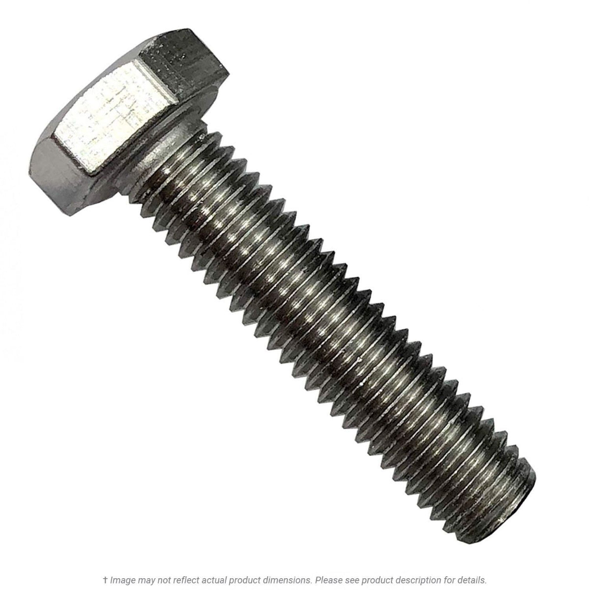 KL Jack & Co., 1/4"-20 x 1-1/4" Stainless Steel Hex Head Tap Bolt 18-8